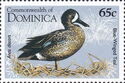 Blue-winged Teal (Anas discors)
